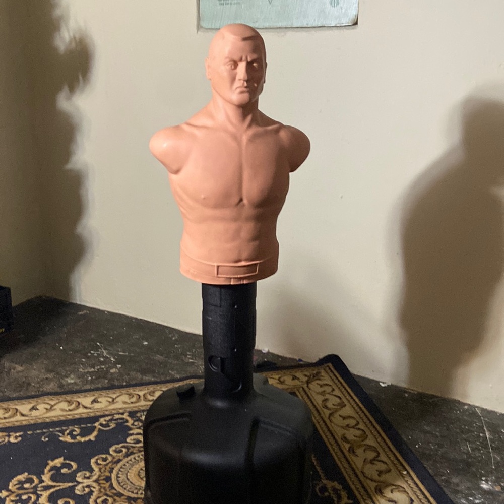 Punching bob